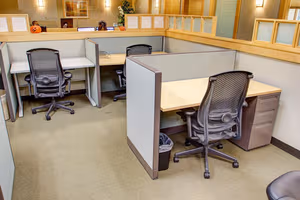 1 Person Virtual Office