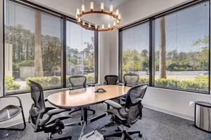 1 Person Virtual Office