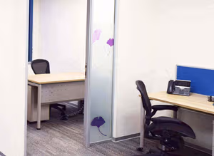 1 Person Virtual Office