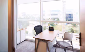 1 Person Virtual Office