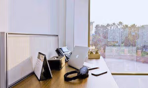 1 Person Virtual Office