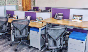 1 Person Virtual Office