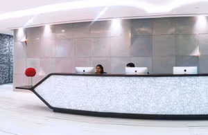 2 Person Coworking Desk