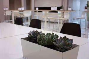 4 Person Private Office