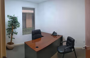 1 Person Virtual Office