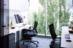 1 Person Virtual Office