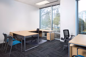 3 Person Private Office