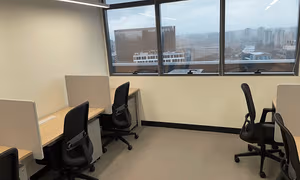 1 Person Virtual Office