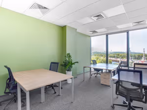 1 Person Virtual Office