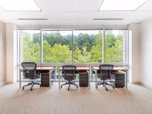 1 Person Virtual Office