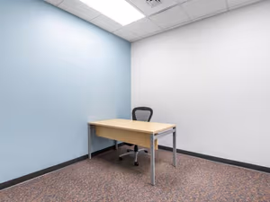1 Person Virtual Office