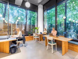 1 Person Virtual Office