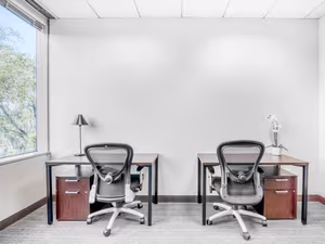 1 Person Virtual Office