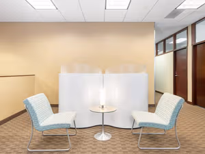 1 Person Virtual Office