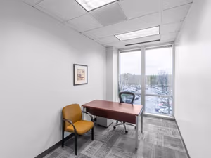 1 Person Virtual Office