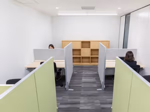 1 Person Virtual Office