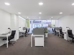 1 Person Virtual Office