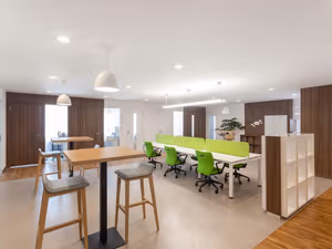 1 Person Virtual Office