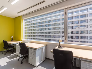 1 Person Virtual Office