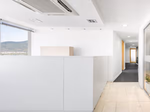 1 Person Virtual Office