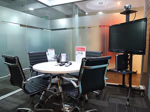 1 Person Virtual Office