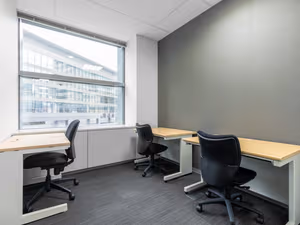 1 Person Virtual Office