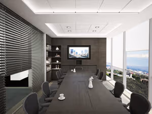 1 Person Virtual Office