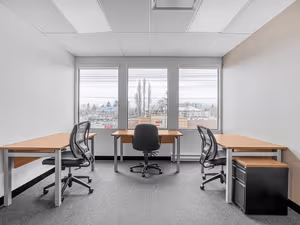 1 Person Virtual Office