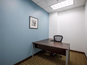 1 Person Virtual Office