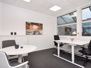 1 Person Virtual Office