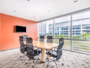 1 Person Virtual Office