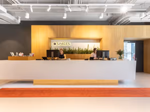 1 Person Virtual Office