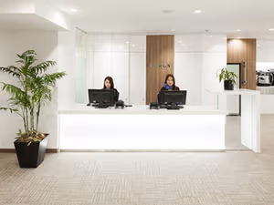 1 Person Virtual Office