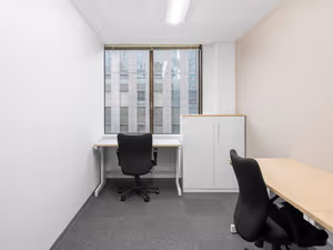 1 Person Virtual Office