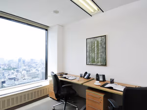 1 Person Virtual Office