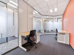 1 Person Virtual Office