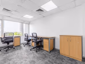 1 Person Virtual Office