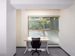 1 Person Virtual Office