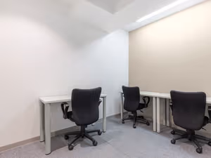 1 Person Virtual Office