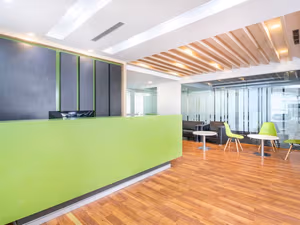 1 Person Virtual Office