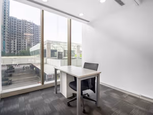 1 Person Virtual Office