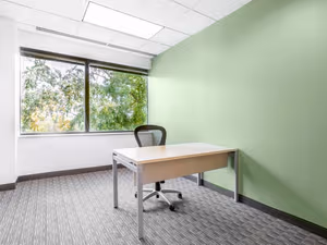 1 Person Private Office