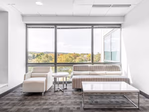 1 Person Virtual Office