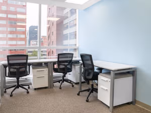 1 Person Virtual Office