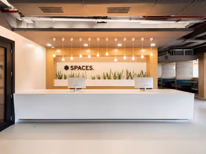 1 Person Virtual Office