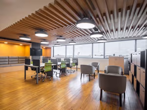 1 Person Virtual Office