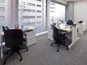 1 Person Virtual Office