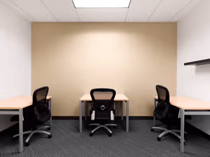 1 Person Virtual Office