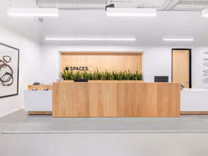 1 Person Virtual Office