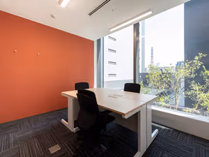 1 Person Virtual Office